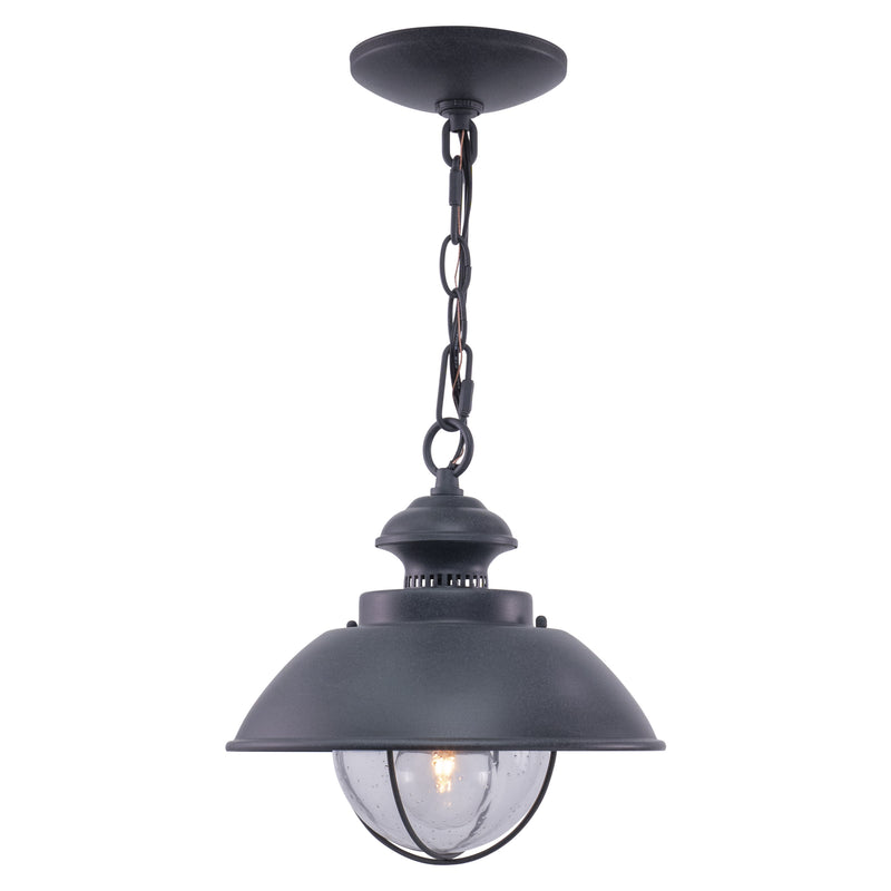 Eastham 10-Inch Gray Outdoor Pendant